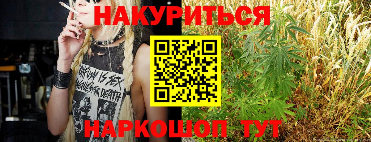 Бошки Шишки планчик  МАРИХУАНА сатива  Вход с VPN  Бошки Шишки Bruce Banner  Бошки Шишки конопля  Старая Купавна 